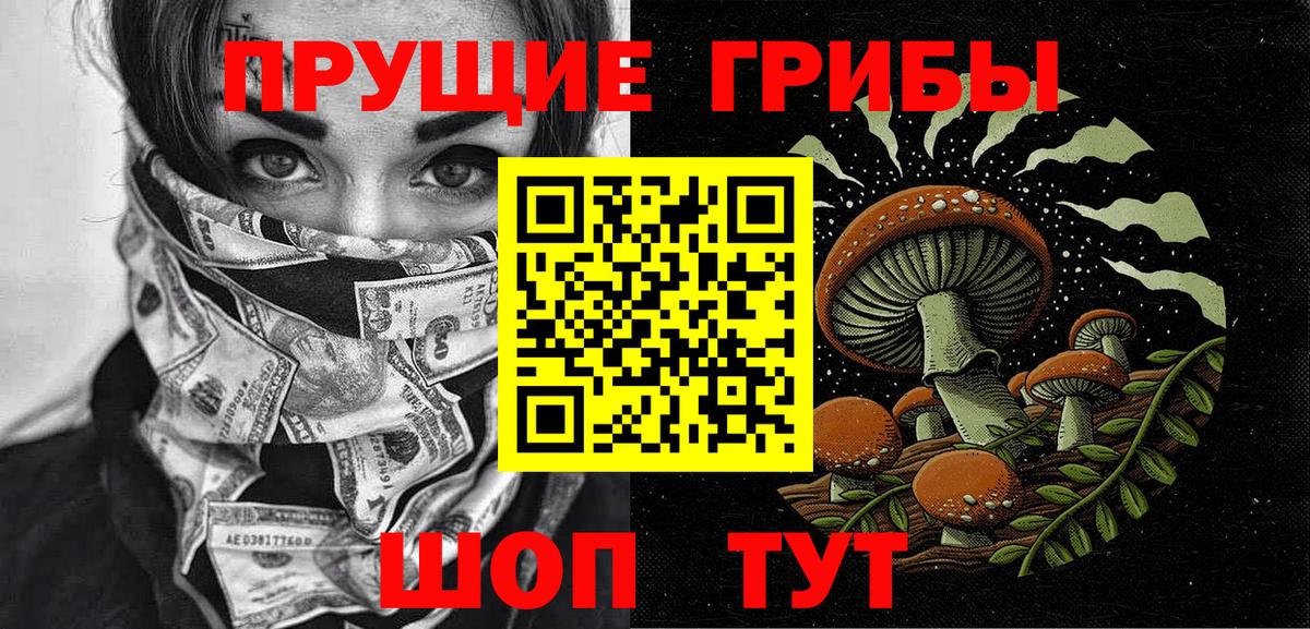 Псилоцибиновые грибы Psilocybine cubensis  Псилоцибиновые грибы Psilocybe  Большой Камень  Вход с VPN 